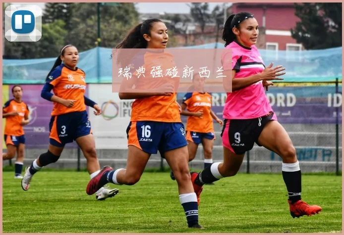 瑞典强碰新西兰