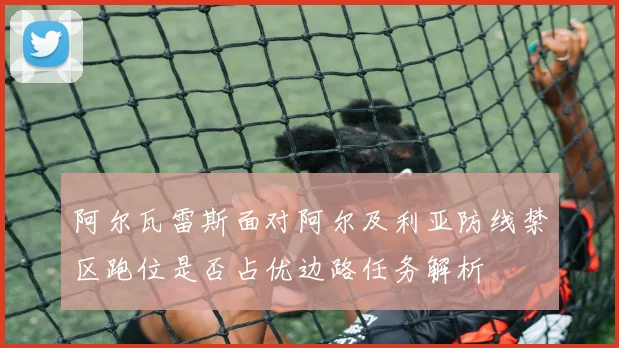 阿尔瓦雷斯面对阿尔及利亚防线禁区跑位是否占优边路任务解析
